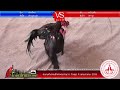 ซุ้ม น้องใหม่ VS ซุ้ม เจริญชัย