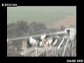 videos de Karmienie piskląt.