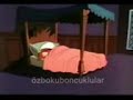 ozbokuboncuklular