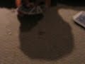 marix coin trick revaeled
