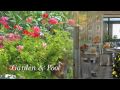 Luxury Taormina hotel 2007