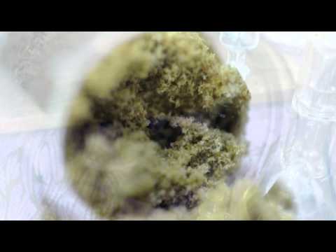 how to harvest kief