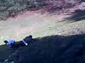 aventada