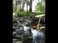videos de Badger Creek, Healsville, Victoria