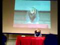 Alessandro Bergonzoni - FestivalFilosofia