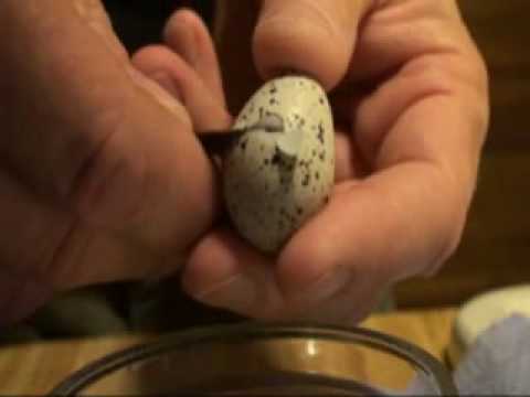 how to break quail eggs