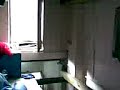 sexo con el elefante