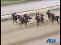第１７回アラブ大賞典