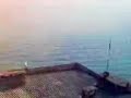 G�m�?yaka