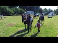Views of Cheshire- Poynton Show 2008 Part 1 of 2