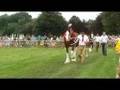 Views of Cheshire- Poynton Show 2008 Part 1 of 2