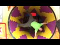 WFPF.COM - More Freerun Fun at the State Fair- WFPF!!!