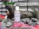 Natural Skin Care, Acne, Anti Aging,Anti Wrinkle Products Natural Skin Care, Acne, Anti Aging,Anti Wrinkle Products