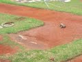 capotada t-maxx traxxas dust rising