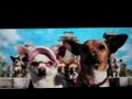 Beverly hills chihuahua(trailer)