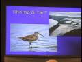 videos de (Pt. 2) Presentation by Dr. Jeff Wells on the Boreal Songbird Initiative