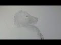 Click here to watch this video KuschelEnte, im Zeitraffer gemalt (how to draw a bird 2, duck^^) [HD]