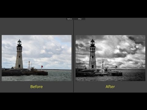 how to turn pdf into black and white