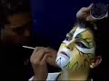 Backstage Cats