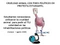 Crueldad animal en protesta estudiantil venezolana