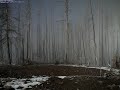Fog Over Yellowstone Lake