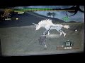 麒麟動画