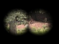 The survival of the deer - MORITURY Filmworx
