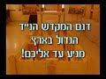 ����� �� ����� �����