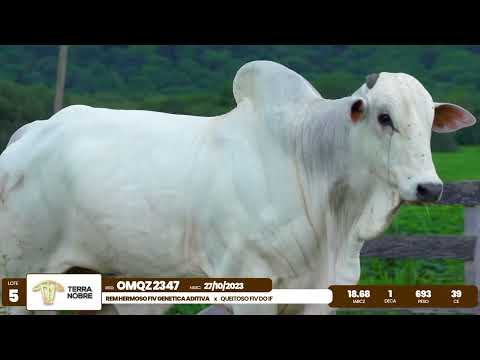 1� De Olho na Fazenda - Terra Nobre