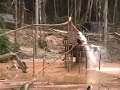 amazon film garimpo apui 3