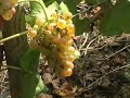 Visite Domaine du Monteillet
