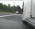 cruising bug cruising bug