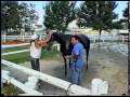 INSIGHT NASSAU - Phil Johnson BELMONT 2.avi