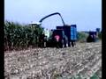 CLAAS JAGUAR 840 E MASSEY FERGUSON 3090