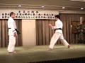 日本拳法協会　猪狩元秀「空理之形」