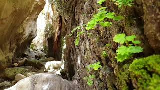 VIDEOS + 42 Avakas George Trail Paphos - Water features Slow Modus 18.06.2020 008