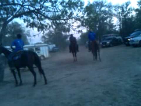 runners and riders