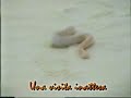 Libia. Deserto, laghi salati, sci sulla sabbia