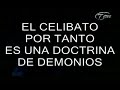 catolicos   crimenes sexuales   sacerdotes