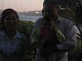 Mihrabatta Tokat Almus ?enlikleri Hasan Yal�?n ve Ailesi -1
