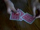 another aardvark and fignewton film.