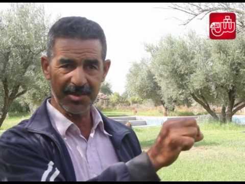 فرنسي يغتصب جحشة بمراكش