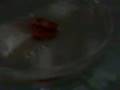 sapoo