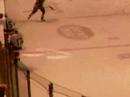 Griffins