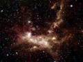 Star-Forming Nebula Henize 206