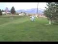 videos de HILL bombing