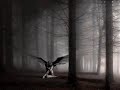 Bach - Cantata BWV 140 - Peter Schreier - Sleepers wake