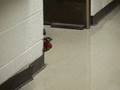 HALLWAY TEST CLEANED UP