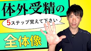 【3分で解説】体外受精を検討される全ての方へ、その全体像を説明します。