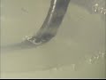 My 2nd Hydrogen Cell Experiment! Exploded in my Kitchen!